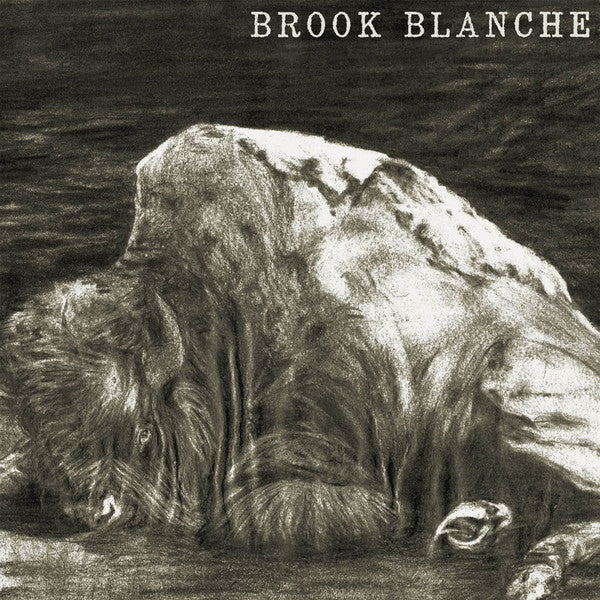 BLANCHE,BROOK - BROOK BLANCHE