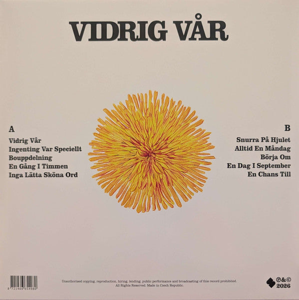 DUNGEN - VIDRIG VAR