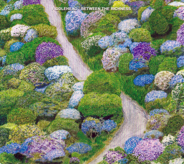 FIDDLEHEAD - BETWEEN THE RICHNESS