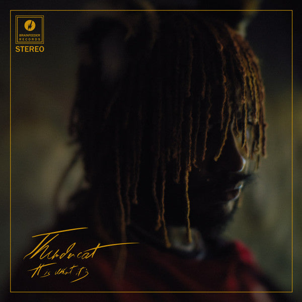 THUNDERCAT - IT IS WHAT IT IS (PHOTOGRAPHY BY EDDIE ALCAZAR)