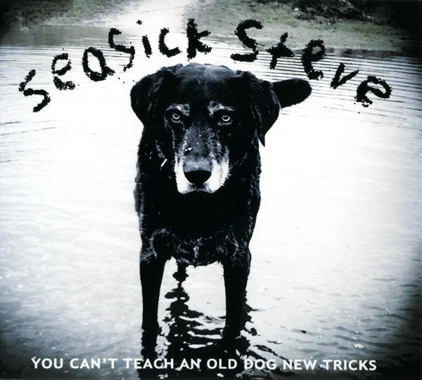 SEASICK STEVE - YOU CAN'T TEACH AN OLD DOG NEW TRICK