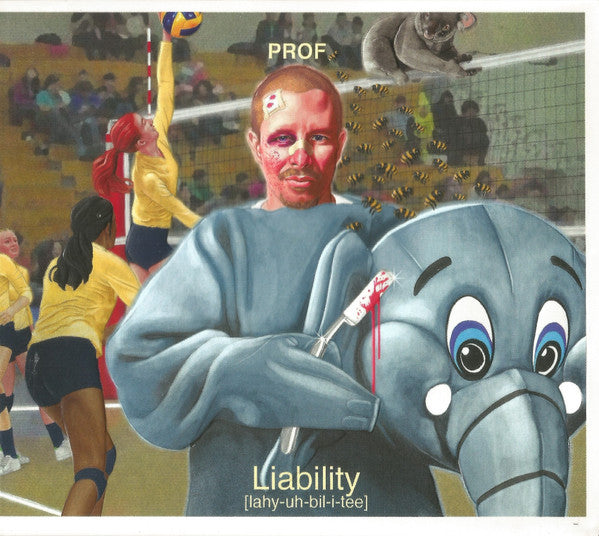 PROF - LIABILITY