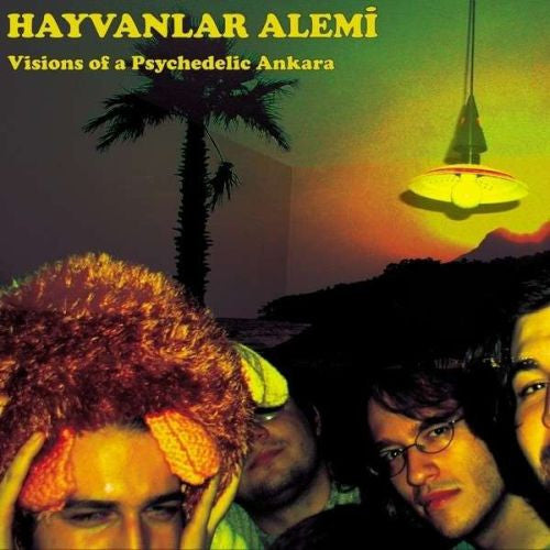 HAYVANLAR ALEMI - VISIONS OF A PSYCHEDELIC ANKARA