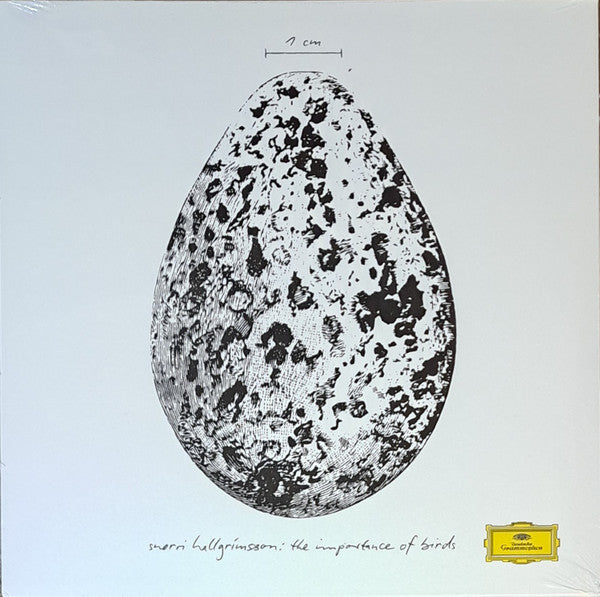 HALLGRIMSSON SNORRI - IMPORTANCE OF BIRDS (EP)