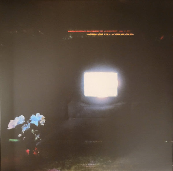EMERALDS - DOES IT LOOK LIKE I'M HERE? (2LP/ECTOPLASM VINYL)