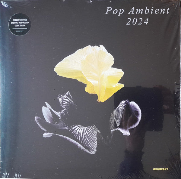 VARIOUS ARTISTS - POP AMBIENT 2024
