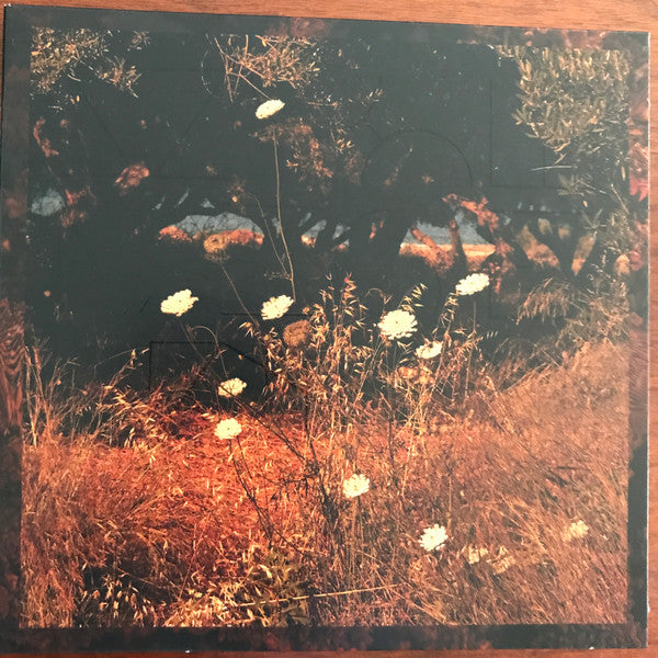 SZUN WAVES - EARTH PATTERNS