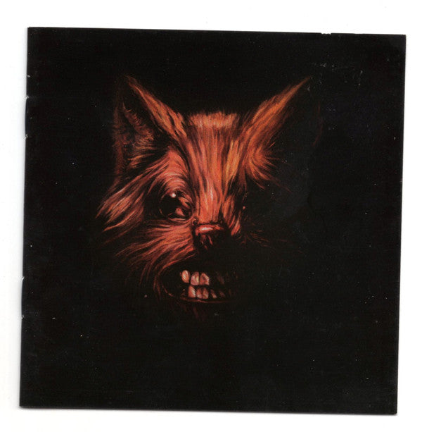 SWANS - SEER