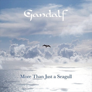 GANDALF - MORE THAN JUST A SEAGULL