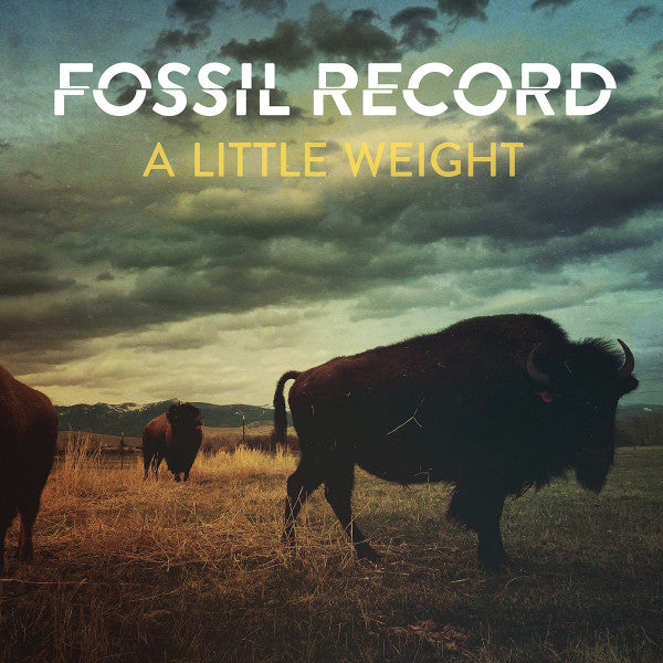 FOSSIL EVOLUTION - LITTLE WEIGHT