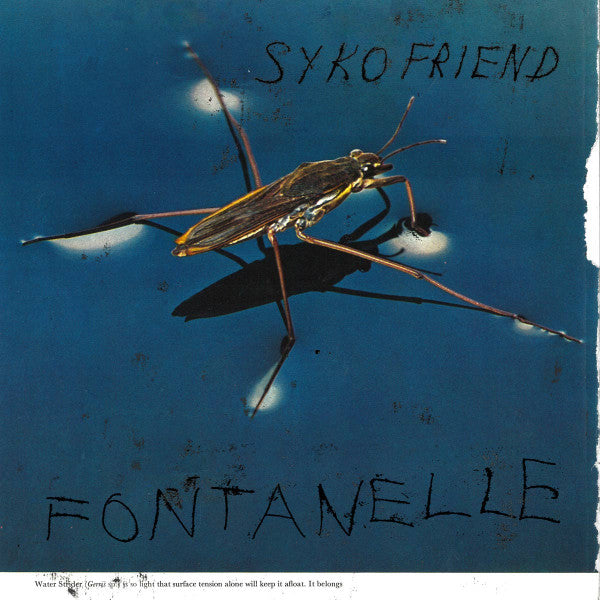 SYKO FRIEND - FONTANELLE