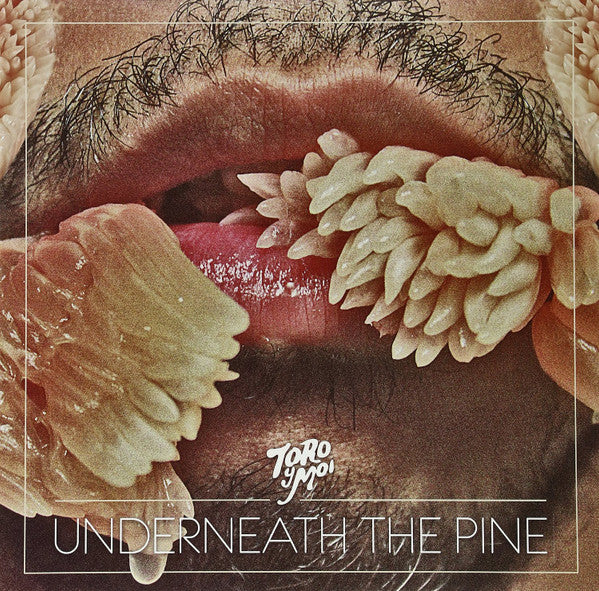 FRANZ DE BYLE - UNDERNEATH THE PINE