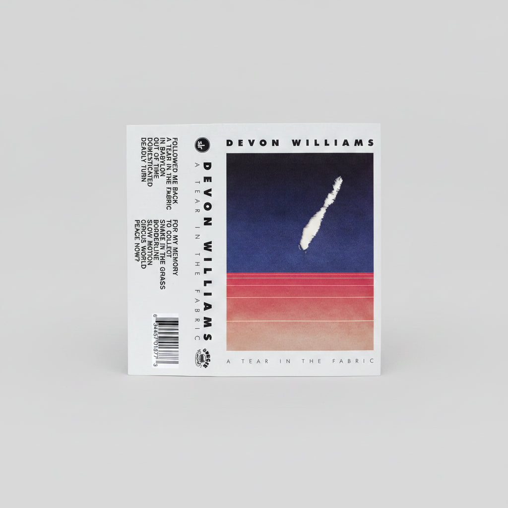 WILLIAMS,DEVON - TEAR IN THE FABRIC