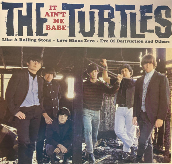 TURTLES - IT AIN'T ME BABE