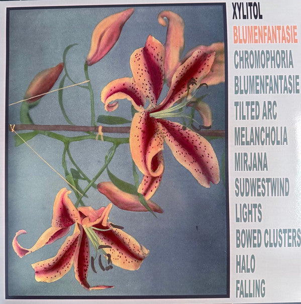 XYLITOL - BLUMENFANTASIE