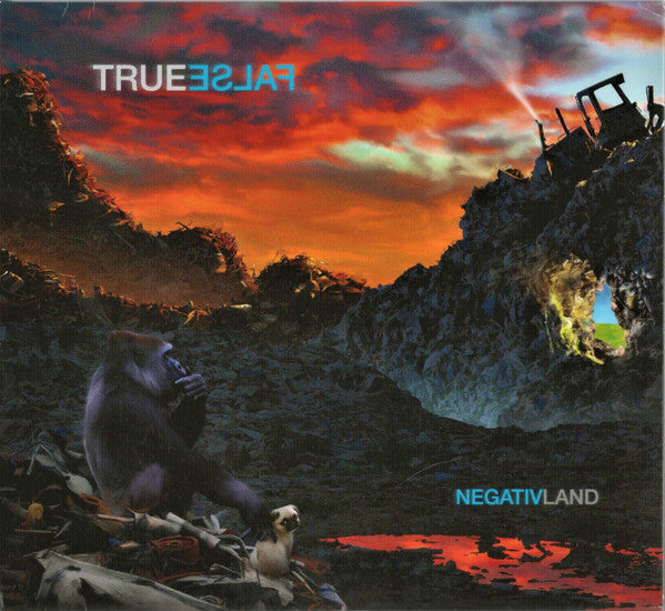 NEGATIVLAND - TRUE FALSE