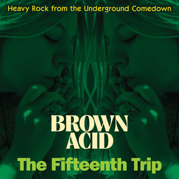VARIOUS ARTISTS - BROWN ACID: THE FIFTEENTH TRIP
