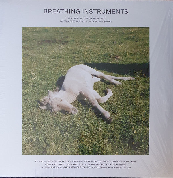 VARIOUS ARTISTS - BREATHING INSTRUMENTS