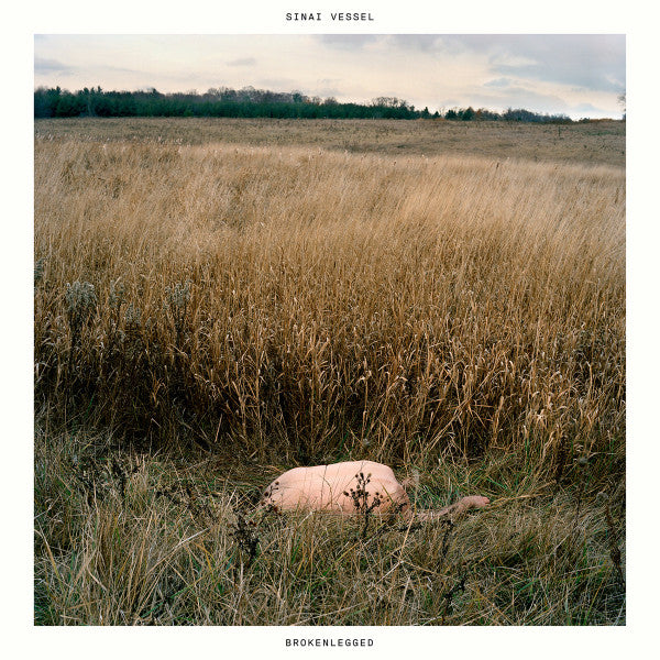 SINAI VESSEL - BROKENLEGGED