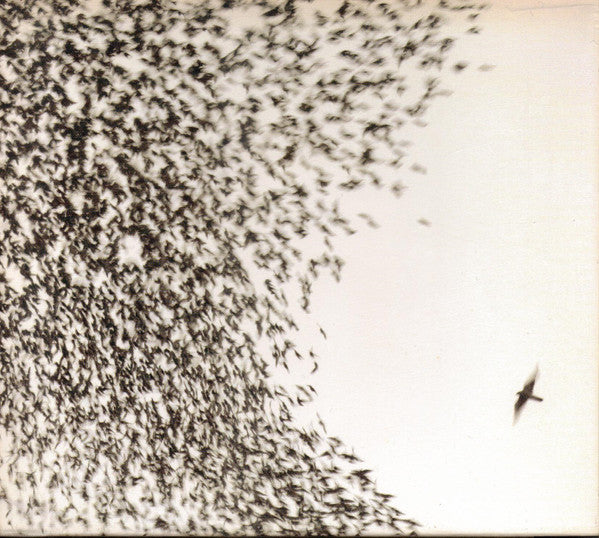 WILCO - SKY BLUE SKY