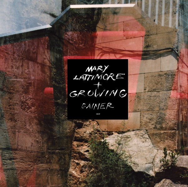 LATTIMORE,MARY & GROWING - GAINER