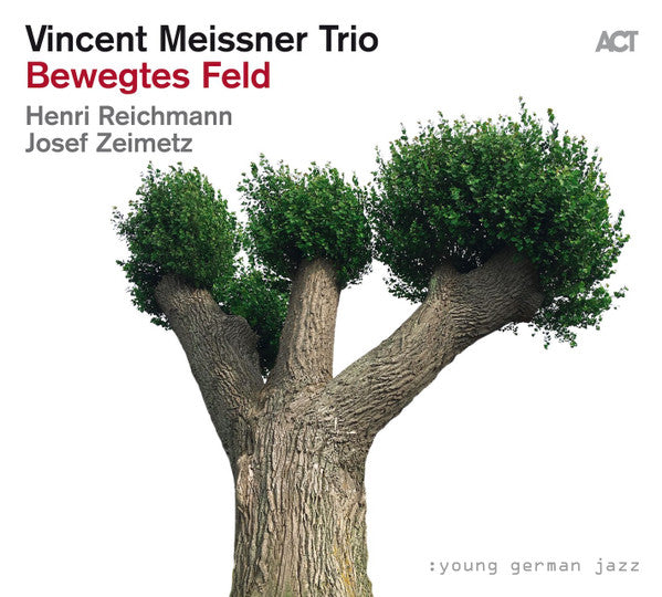 MEISSNER,VINCENT TRIO - BEWEGTES FELD