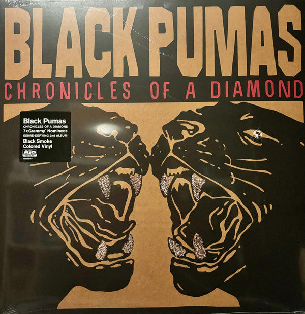BLACK PUMAS - CHRONICLES OF A DIAMOND