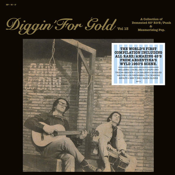 VARIOUS ARTISTS - DIGGIN' FOR GOLD VOL. 13