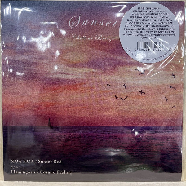 NOA NOA & FLAMINGOSIS - SUNSET RED/COSMIC FEELING