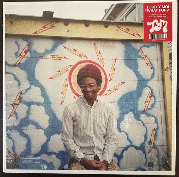 TORO Y MOI - WHAT FOR