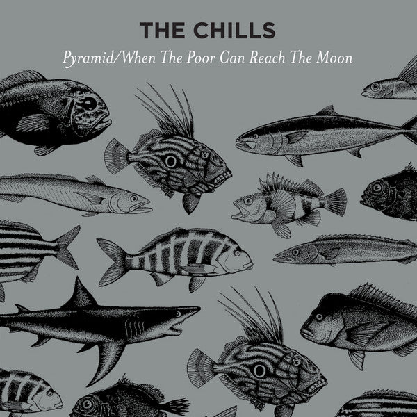 CHILLS - PYRAMID / WHEN THE POOR CAN REACH THE MOON