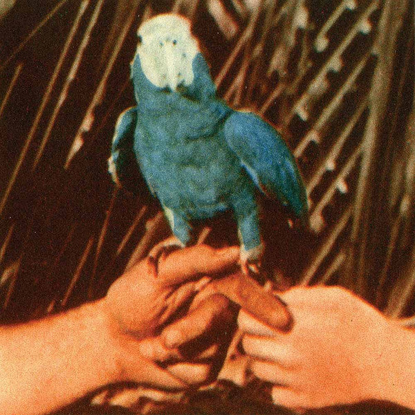 BIRD ANDREW - ARE YOU SERIOUS
