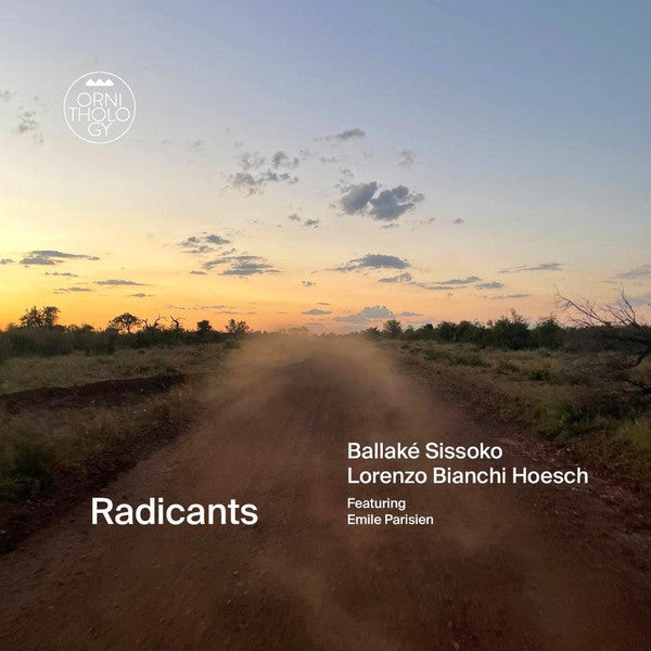 SISSOKO,BALLAKE; LORENZO BIANCHI-HOESCH - RADICANTS