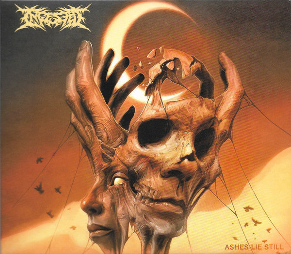 INGESTED - ASHES LIE STILL