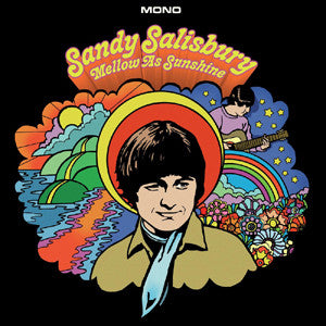SALISBURY,SANDY - MELLOW AS SUNSHINE