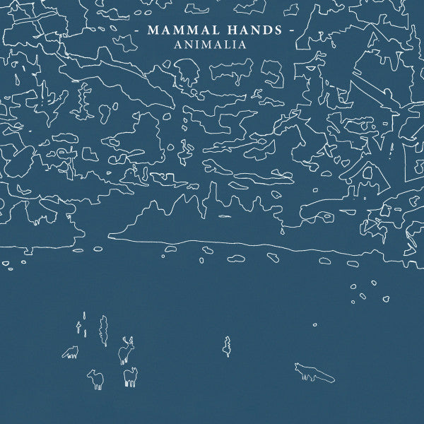 MAMMAL HANDS - ANIMALIA