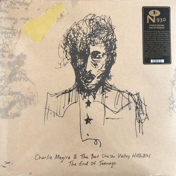MEGIRA,CHARLIE - END OF TEENAGE (2LP)
