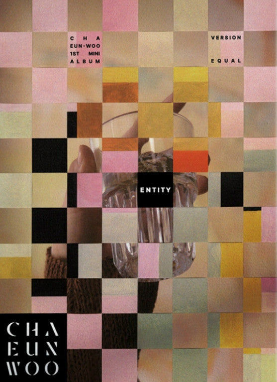CHA EUN-WOO - ENTITY