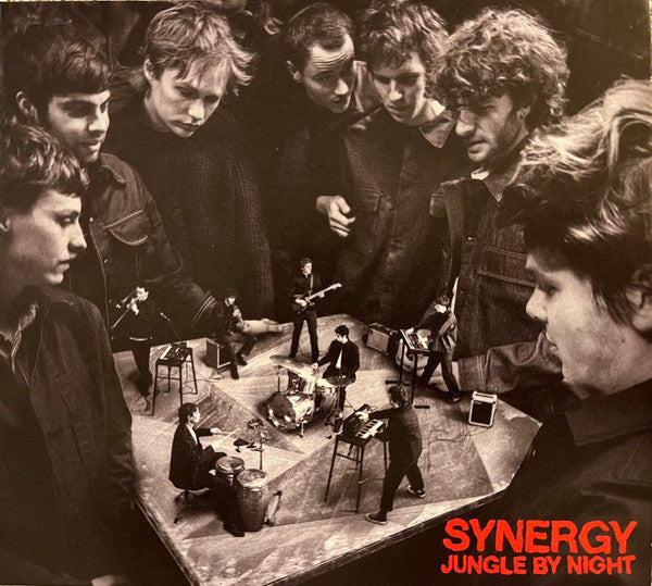 JUNGLE BY NIGHT - SYNERGY