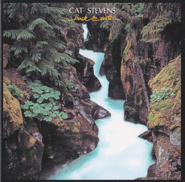 YUSUF; CAT STEVENS - BACK TO EARTH