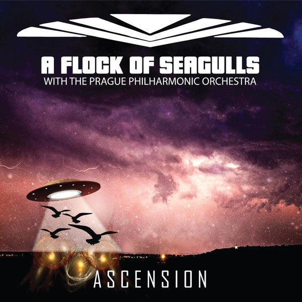 FLOCK OF SEAGULLS - ASCENSION
