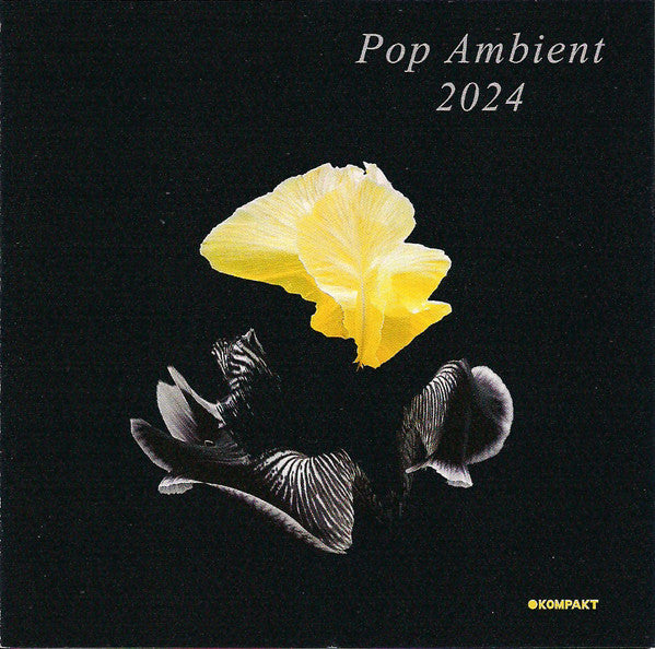 VARIOUS ARTISTS - POP AMBIENT 2024