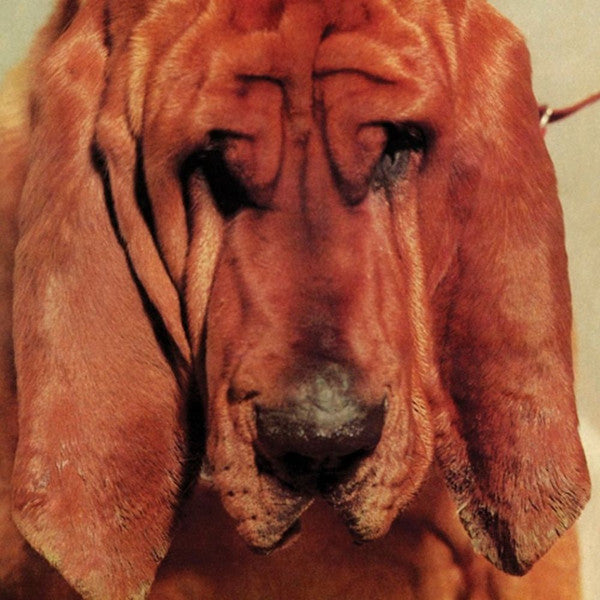 SEGALL TY - GOODBYE BREAD