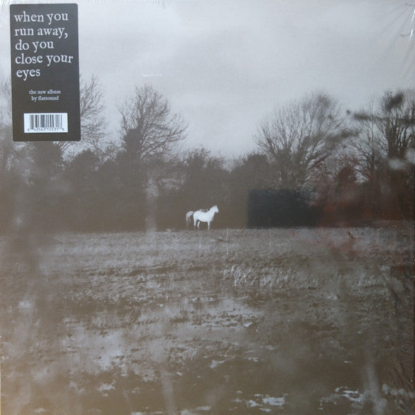 FLATSOUND - WHEN YOU RUN AWAY, DO YOU CLOSE YOUR EYES
