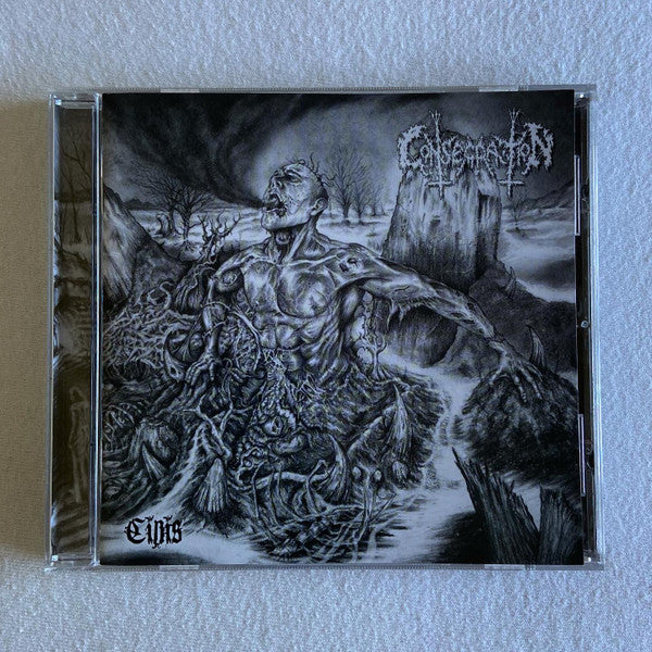 CONSECRATION - CINIS
