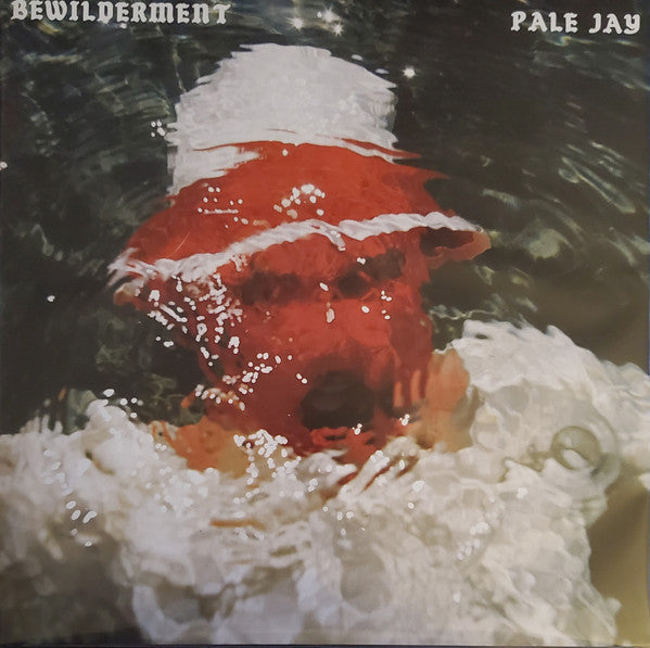 PALE JAY - BEWILDERMENT