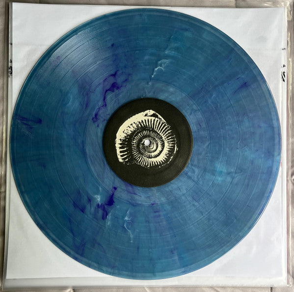BEACH FOSSILS - CLASH THE TRUTH (10TH ANNIVERSARY EDITION) (RANDOM COLOR VINYL)
