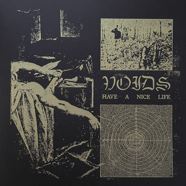 HAVE A NICE LIFE - VOIDS (COLOR VINYL/2LP)