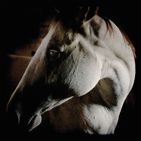 BROTHER DEGE - HOW TO KILL A HORSE
