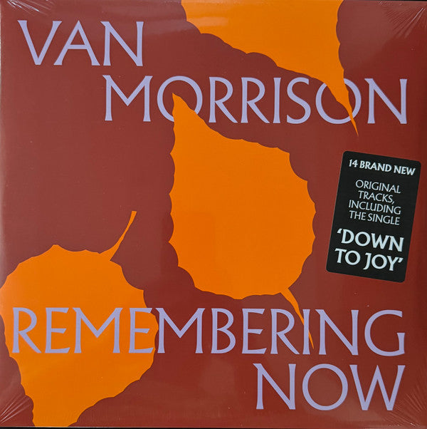 MORRISON,VAN - REMEMBERING NOW (2LP)